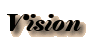 Vision